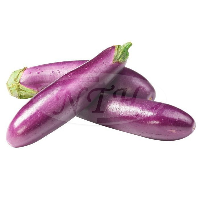 Pearl Brinjal/ Terung Mutiara